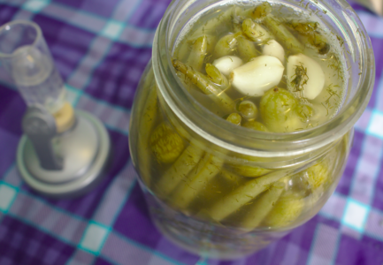 Lactofermentation Green Beans and Garlic